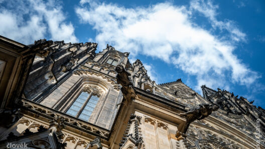 Summer reading – Anniversaries of personalities connected with the cathedral